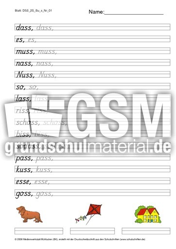 DSS_2S_Bu_s_Nr_01.pdf